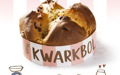 Kwarkbroodmix