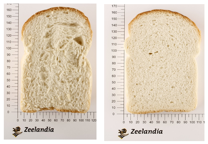 differences in enzymes.png