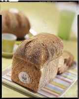 Panda busbrood