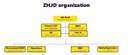 ZHJD-organization-geel-aub.jpg