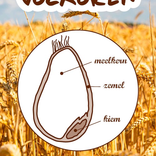 Volkoren_2