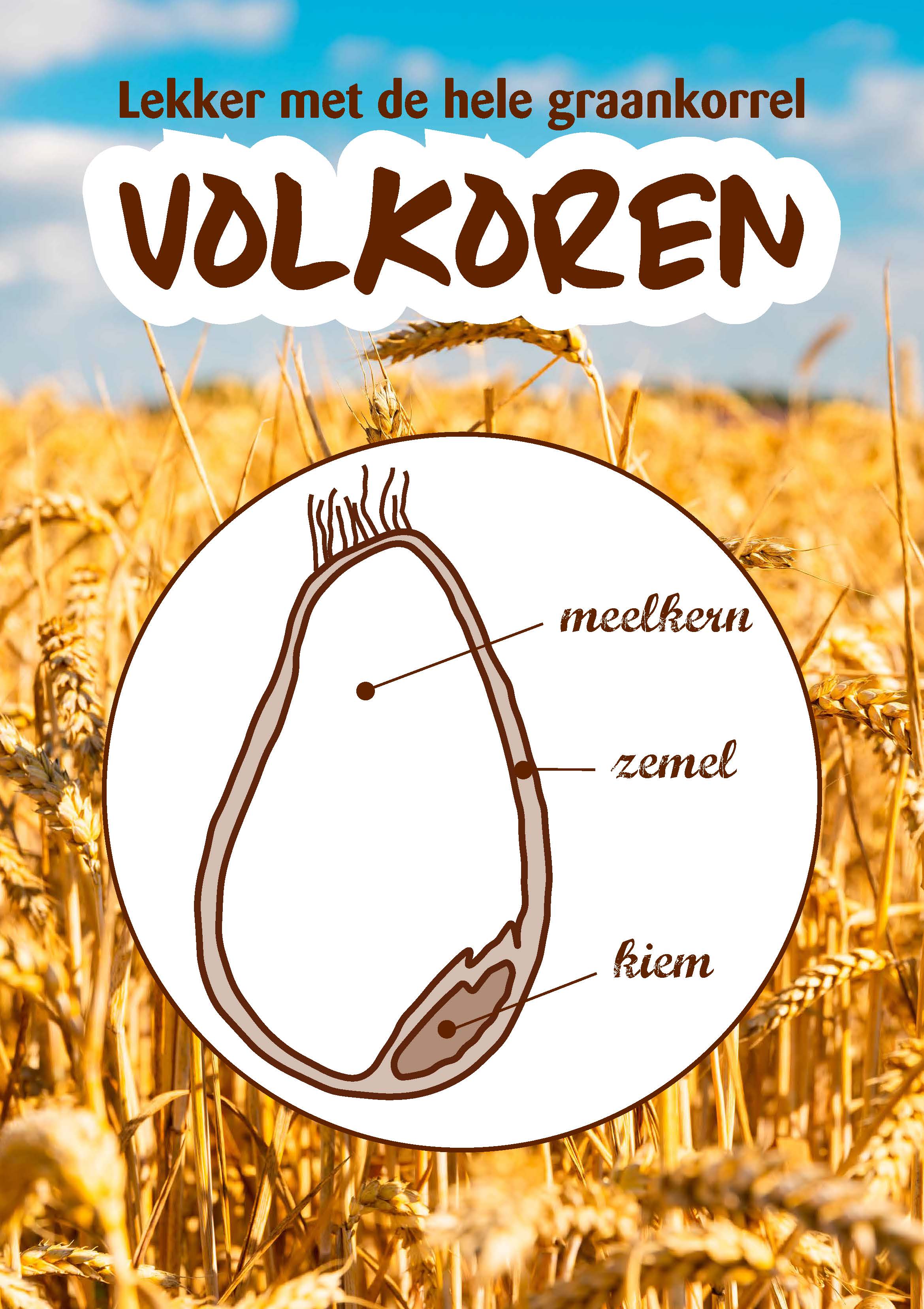 Volkoren_2