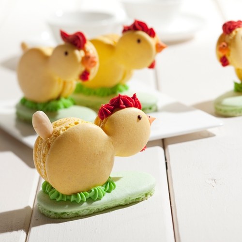 Macaron Kuikens