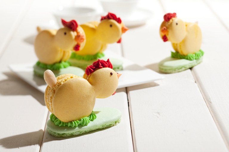Macaron Kuikens