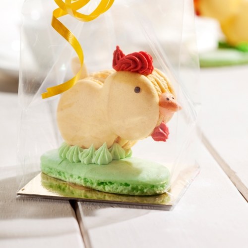 Macaron Kuikens-1