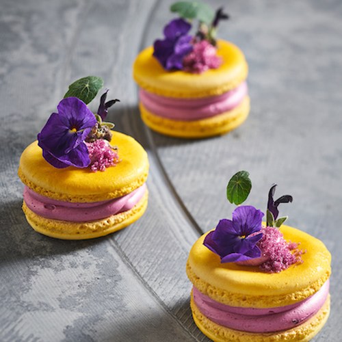 Macaron de Violet