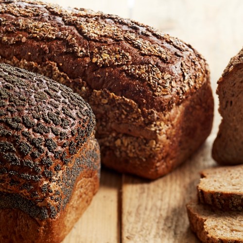 Panterbrood