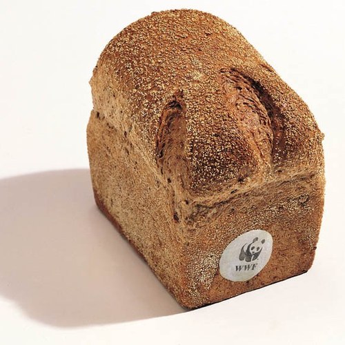 Panda DubbelDonker busbrood