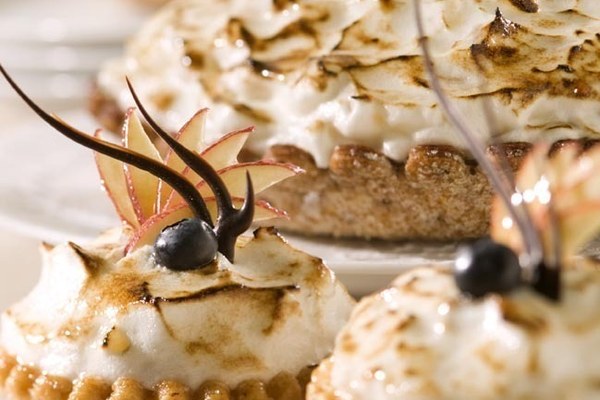 Abrikozen Dessertschelp