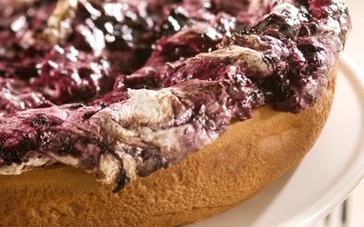 Bosbessen Schuimvlaai