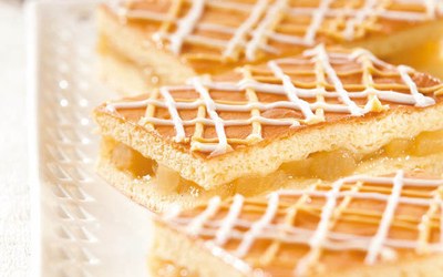 Kidsbrood met Panomix Vienna