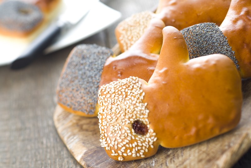 Like handjes met Panomix Vienna