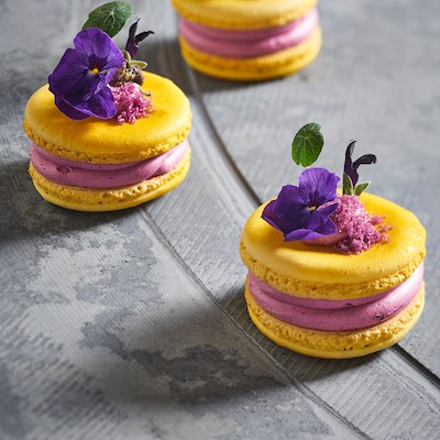 Macaron de Violet