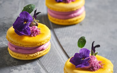 Macaron de Violet