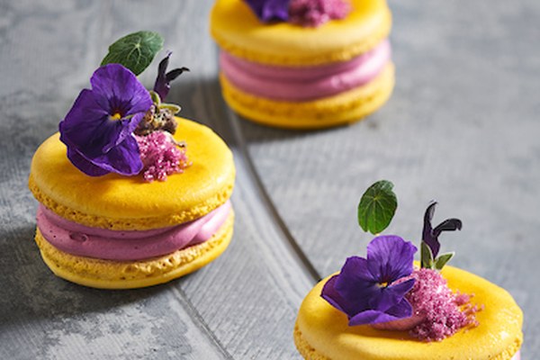 Macaron de Violet