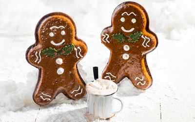 Mr. Gingerbread