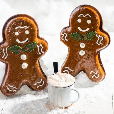 Mr. Gingerbread