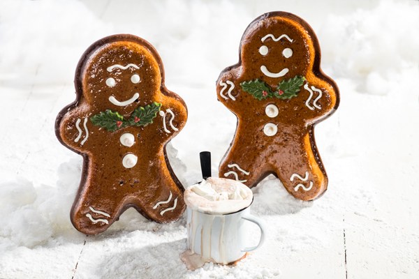 Mr. Gingerbread