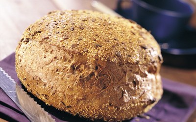 Oogstbrood met Toscane Bruin 50 MZ