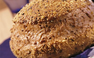 Oogstbrood met Zonnerond 50 MZ
