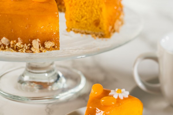 Orange Cakering met Fantasy Orange Cake