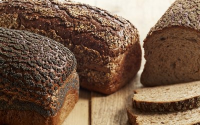 Panterbrood
