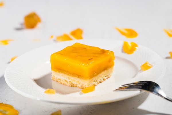 Sinaasappel Gember Vegan met V-GO! Vegan Cake