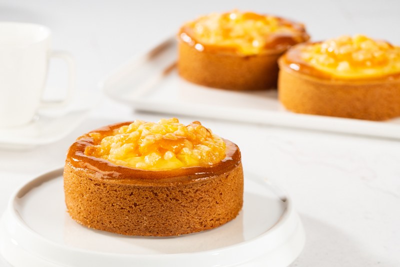 Sinaasappel Kwark Gangmaker met Fantasy Orange Cake
