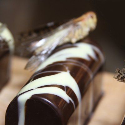 Sprinkhaantje de voorste (Pierre Wind)