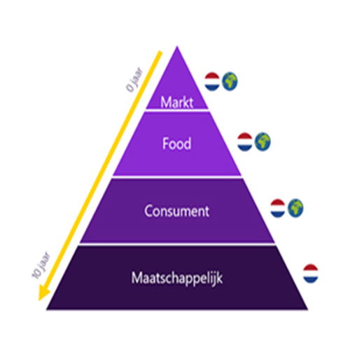 Foodpiramide.jpg